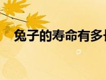 兔子的壽命有多長!（兔子的壽命有多長）