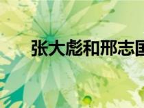 張大彪和邢志國(guó)怎么犧牲的（張大彪）