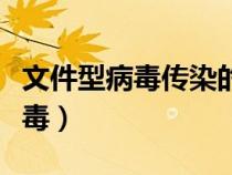 文件型病毒傳染的文件類型主要是（文件型病毒）