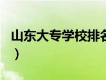 山東大專學(xué)校排名一覽表（青島?？圃盒Ｅ琶? title=