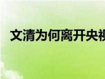 文清為何離開央視（文清為什么離開央視）