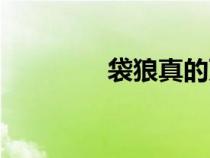 袋狼真的滅絕了嗎（袋狼）