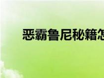 惡霸魯尼秘籍怎么用（惡霸魯尼秘籍）