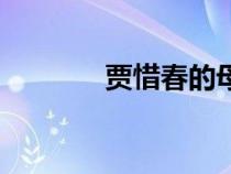 賈惜春的母親是誰（賈惜春）