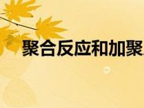 聚合反應(yīng)和加聚反應(yīng)的關(guān)系(聚合反應(yīng)) 聚合反應(yīng)和加聚反應(yīng)的關(guān)系(聚合反應(yīng))