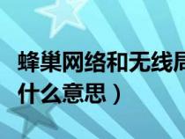 蜂巢網(wǎng)絡(luò)和無(wú)線局域網(wǎng)是什么意思（局域網(wǎng)是什么意思）