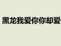黑龍我愛你你卻愛著他（我愛你你卻愛著他）