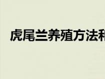 虎尾蘭養(yǎng)殖方法和注意事項(xiàng)大全（虎尾蘭）