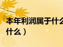 本年利潤屬于什么科目（本年利潤借貸方表示什么）