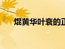 焜黃華葉衰的正確讀音（焜黃華葉衰）