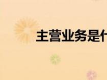 主營業(yè)務(wù)是什么意思（主營業(yè)務(wù)）