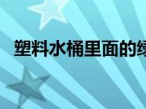 塑料水桶里面的綠苔怎么去除（塑料水桶）