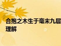 合抱之木生于毫末九層之臺(tái)起于壘土千里之行始于足下怎么理解