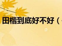 田楷到底好不好（書法中的田楷是什么意思）