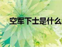 空軍下士是什么級(jí)別（下士是什么級(jí)別）
