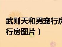 武則天和男寵行房前需要人試（武則天的男寵行房圖片）