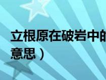 立根原在破巖中的意思是（立根原在破巖中的意思）