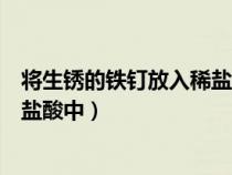 將生銹的鐵釘放入稀鹽酸中會(huì)怎么樣（將生銹的鐵釘放入稀鹽酸中）