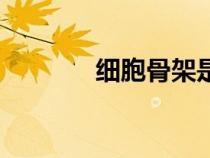 細(xì)胞骨架是什么（細(xì)胞骨架）