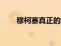穆柯寨真正的遺址在哪里（穆柯寨）