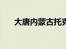 大唐內(nèi)蒙古托克托電廠（托克托電廠）