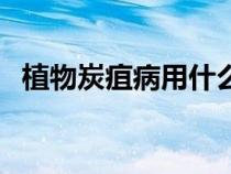 植物炭疽病用什么農(nóng)藥最好（植物炭疽?。? title=