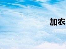 加農(nóng)貝克（加農(nóng)）