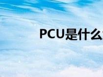 PCU是什么大學(xué)（PCU是什么）