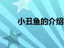小丑魚的介紹樣子（小丑魚的介紹）