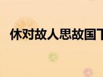 休對(duì)故人思故國下一句（休對(duì)故人思故國）
