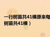 一行樹苗共41棵原來每隔兩米栽一棵樹苗長大了要改（一行樹苗共41棵）