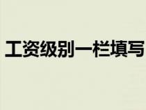 工資級別一欄填寫（企業(yè)工資級別怎么填寫）