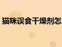 貓咪誤食干燥劑怎么辦（誤食干燥劑怎么辦）