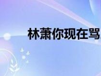 林蕭你現(xiàn)在罵人真夠高級(jí)的（林蕭）