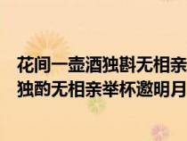 花間一壺酒獨斟無相親舉杯邀明月對影成三人（花間一壺酒獨酌無相親舉杯邀明月對影成三人）