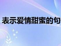 表示愛(ài)情甜蜜的句子（表達(dá)愛(ài)情甜蜜的句子）