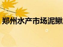 鄭州水產(chǎn)市場泥鰍最新價格（鄭州水產(chǎn)市場）