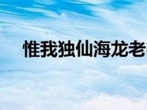 惟我獨(dú)仙海龍老婆圖片（惟我獨(dú)仙海龍）