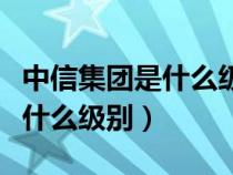 中信集團是什么級別的央企單位（中信集團是什么級別）