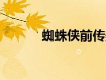 蜘蛛俠前傳美?。ㄖ┲雮b前傳）