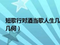 短歌行對酒當歌人生幾何表達了什么（短歌行對酒當歌人生幾何）