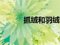 抓絨和羽絨內(nèi)膽哪個好（抓絨）