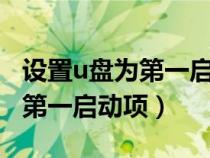 設(shè)置u盤為第一啟動(dòng)項(xiàng)找不到u盤（設(shè)置u盤為第一啟動(dòng)項(xiàng)）