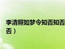 李清照如夢(mèng)令知否知否紅瘦指的是什么花（李清照如夢(mèng)令知否）