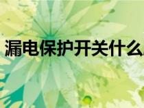 漏電保護(hù)開關(guān)什么牌子好（開關(guān)什么牌子好）