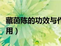 藏茵陳的功效與作用吃法（藏茵陳的功效與作用）