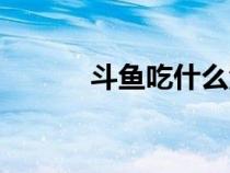 斗魚吃什么活物（斗魚吃什么）