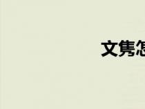 文雋怎么讀（文雋）