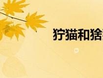 獰貓和猞猁的區(qū)別（獰貓）