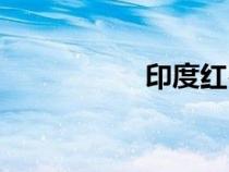 印度紅石材（印度紅）
